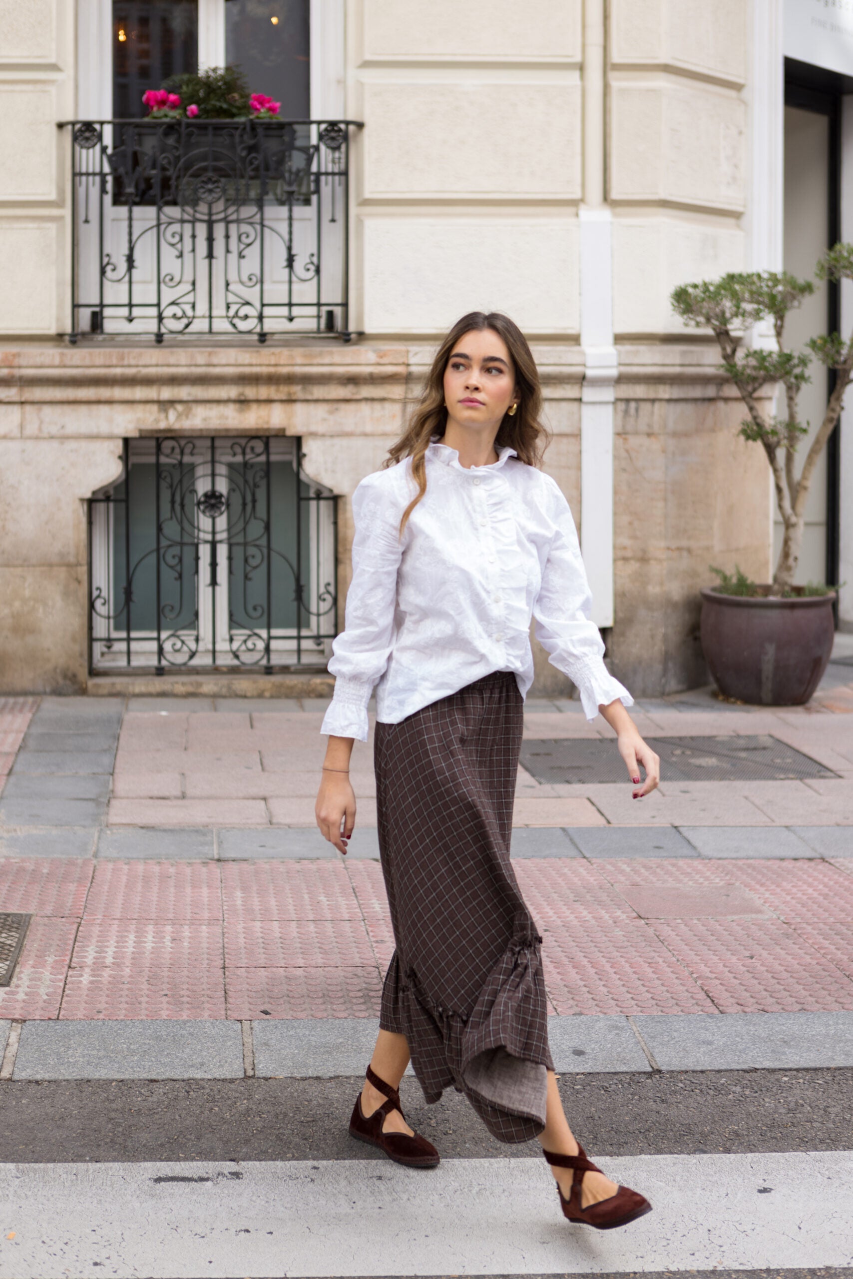 COTTON CROWN. INVIERNO 25. 040