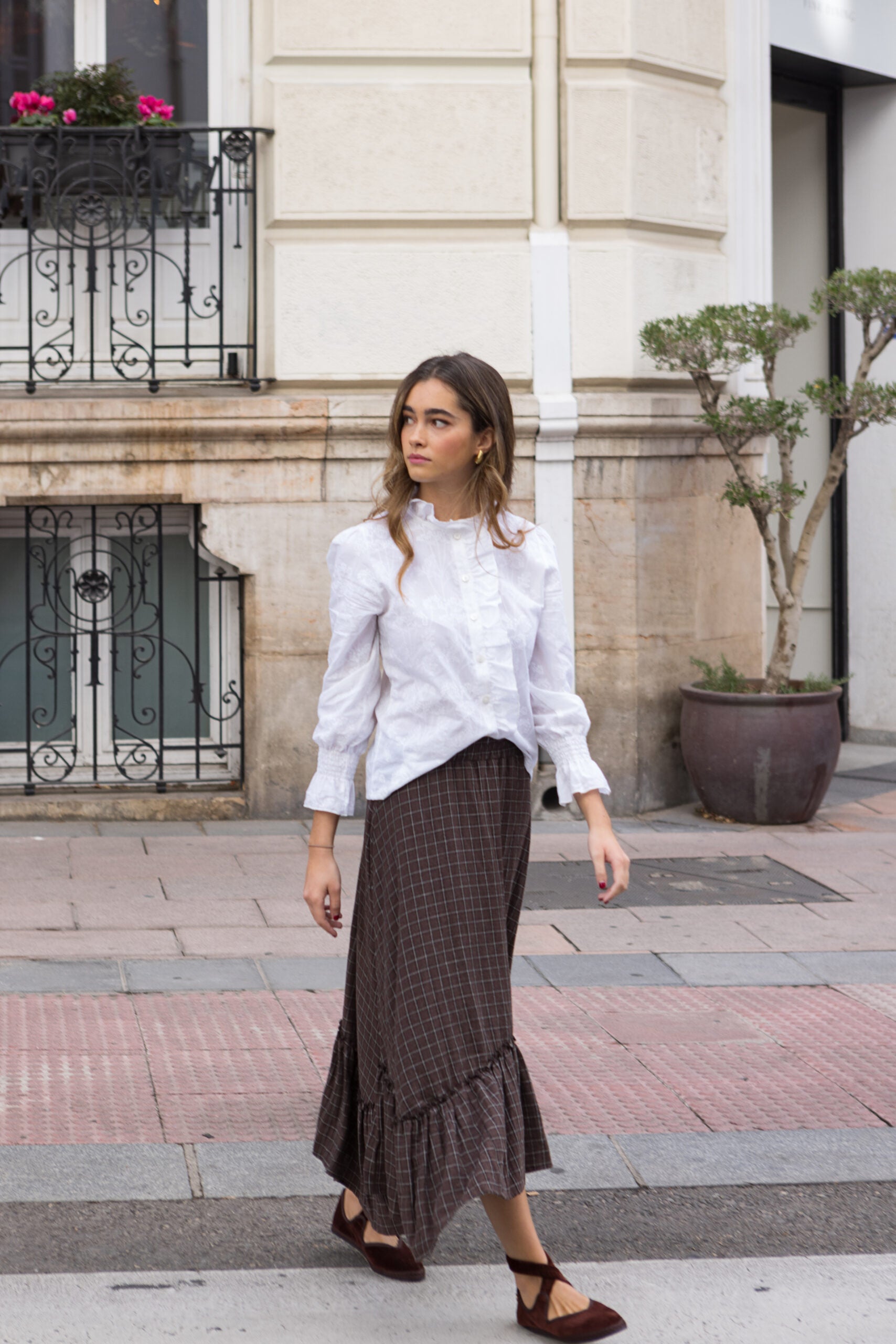 COTTON CROWN. INVIERNO 25. 041